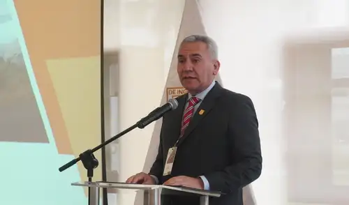 "Es un mito que sin Ley Mape, se deba prorrogar el Reinfo", afirma gerente del Instituto de Ingenieros de Minas