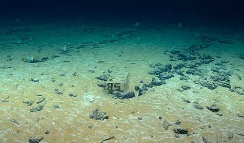 El Mar del Norte, entre Noruega y Dinamarca, tiene las condiciones para realizar la producción de hidrógeno verde. Foto: NOAA El Mar del Norte, entre Noruega y Dinamarca, tiene las condiciones para realizar la producción de hidrógeno verde.