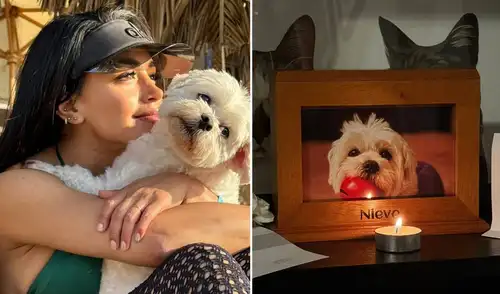A través de sus redes sociales, Onelia Molina anunció el fallecimiento de su perrita Nieve. A través de sus redes sociales, Onelia Molina anunció el fallecimiento de su perrita Nieve.