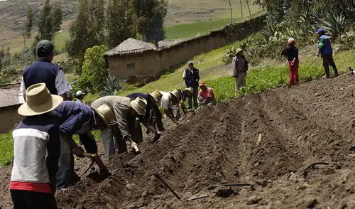 Banco Central de Reserva del Perú mantuvo su tasa de interés en 4,25% Banco Central de Reserva del Perú mantuvo su tasa de interés en 4,25%