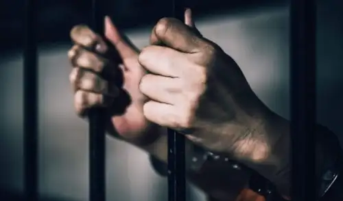 La ley peruana prevé penas de hasta cinco años por actos de crueldad contra animales. Fuente: Difusión.