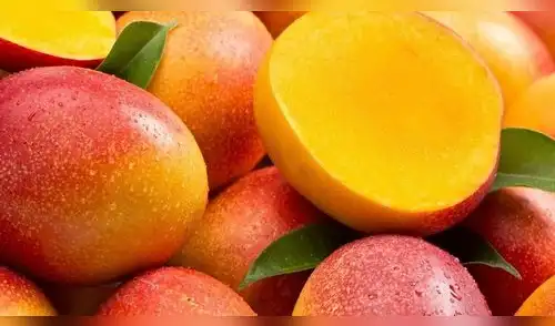 mango mangos crisis