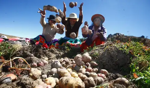 La diversidad alimentaria indígena podría ayudar a enfrentar la creciente inseguridad alimentaria en el país.
