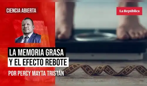 Percy Mayta memoria grasa