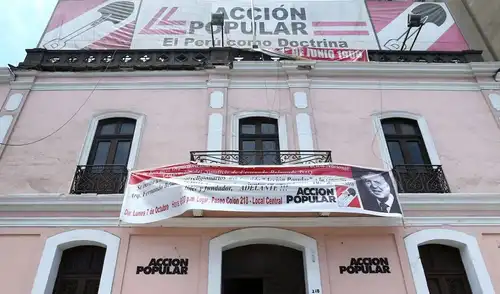 Vicesecretario de AP señaló que responsables deben ser expulsados. Foto: difusión.