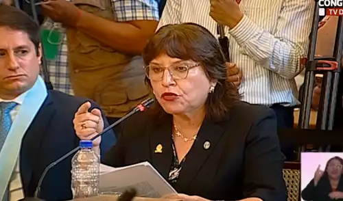 Delia Espinoza ya ha sido inhabilitada por el Congreso por 10 años. Foto: Congreso delia espinoza