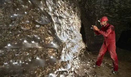 La red de seda se formó en completa oscuridad dentro de una cueva alimentada por bacterias del azufre. Foto: Subterranean Biology La red de seda se formó en completa oscuridad dentro de una cueva alimentada por bacterias del azufre.