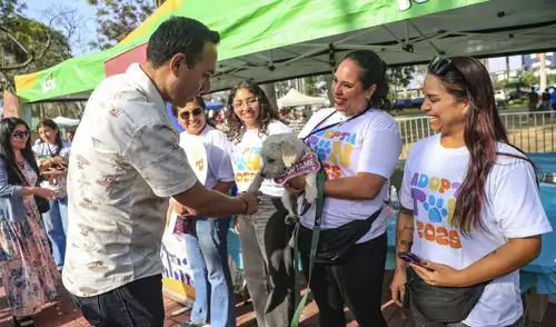 Con el apoyo del gobierno peruano, la Fundación Rayito realizará un evento con la finalidad de encontrar hogar a los animales abandonados.