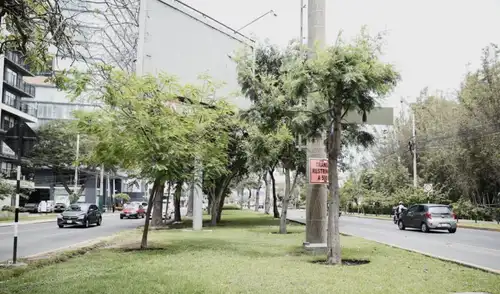 Áreas verdes en San Isidro sería retiradas por viaducto. Foto: Sebastian Blanco / La República