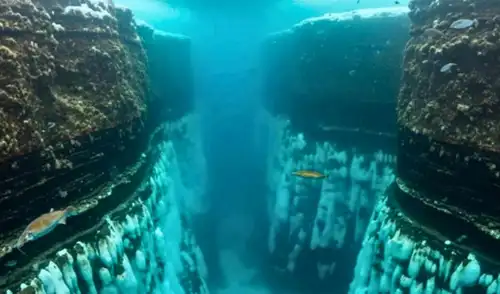 Cañones submarinos transportan sedimentos y carbono, conectando océanos y continentes.