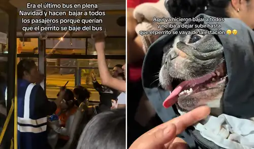 Incidente en el Metropolitano desata polémica por retiro de mascota de bus