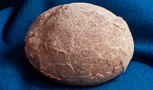 En China descubren un misterio prehistórico escondido dentro de huevos fosilizados.