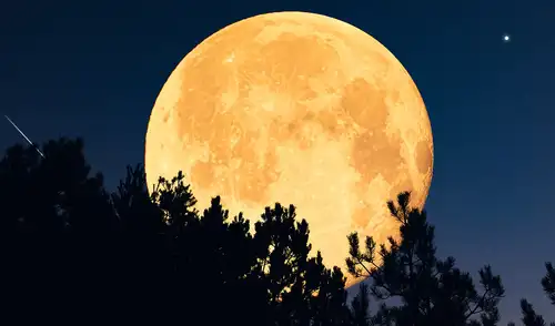 La luna llena de enero es conocida como Luna de lobo. Foto: IStock La luna llena de enero es conocida como Luna de lobo. Foto: IStock