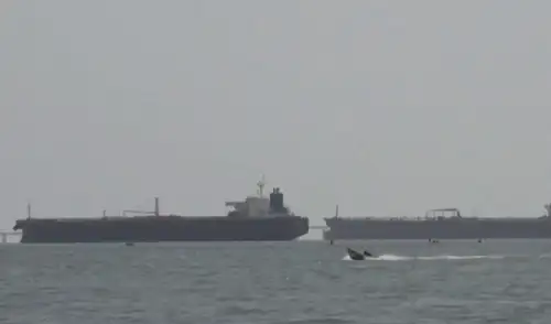 EE. UU. confirmó la intercepción un buque petrolero ruso en el Atlántico Norte. Foto: captura TN