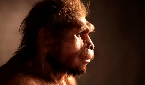 Los primeros miembros del linaje humano podrían haber abandonado África antes de lo que se creía. Foto: Science.org