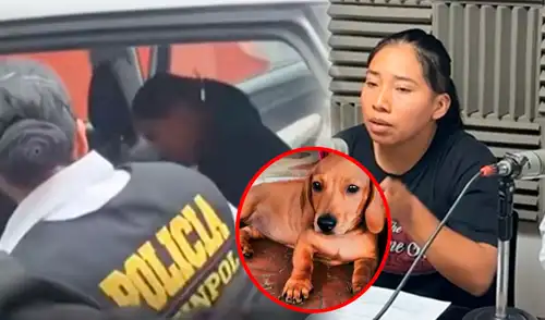 La joven fue trasladada a la carceleta de la comisaría de Moquegua tras ser denunciada de robar al perrito.