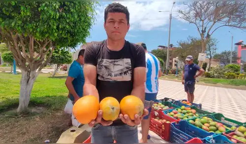 Agricultores advierten pérdidas si no reciben apoyo de las autoridades. Foto: Emmanuel Moreno, La República Agricultores advierten pérdidas si no reciben apoyo de las autoridades. Foto: Emmanuel Moreno, La República