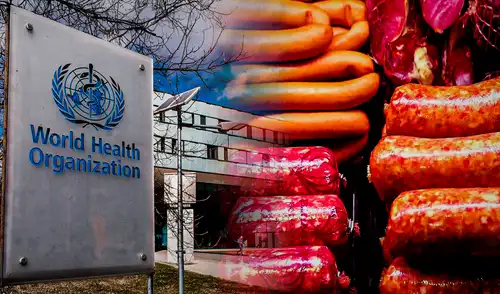 La medida de la OMS se fundamenta en el acuerdo de la comunidad científica.