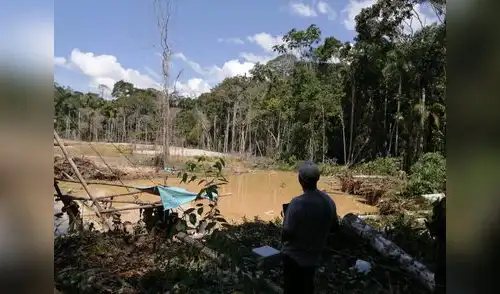 Alarmante deforestación de bosques en Madre de Dios. Fotos: FEMA