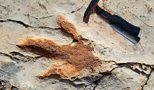 DinoTracker es una aplicación que analiza y clasifica las huellas de dinosaurio. Foto: IUGS