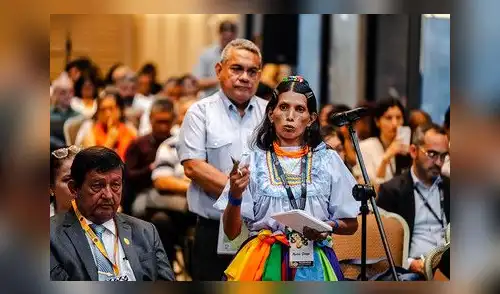 Tejiendo Ciudadanía.