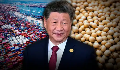 China mantiene el interés constante por la compra de soja.