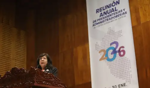 La decisión del TC establece que la imputabilidad penal mínima es de 18 años. Fuente: Difusión.