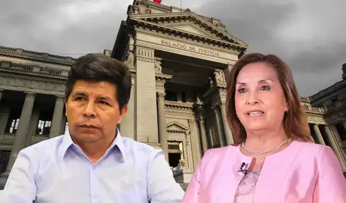 Pedro Castillo, Dina Boluarte