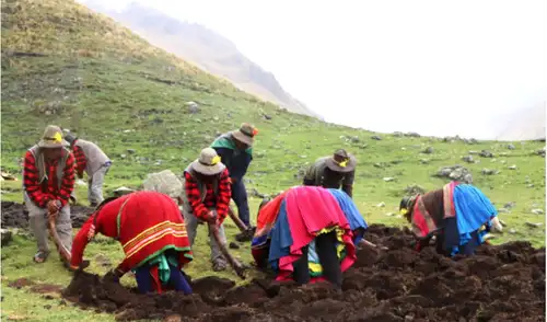 En Lambayeque, alrededor de 140 mil personas trabajan en el sector agrícola, y en Piura, 280 mil.