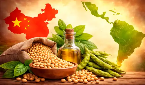 Argentina sufre fuerte déficit hídrico y pone en riesgo futuras ventas de soja a China.