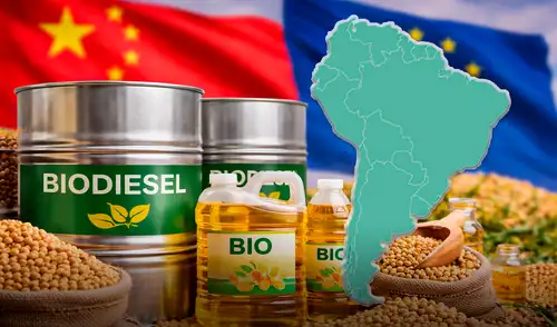 La posible clausura del mercado europeo a los derivados de la oleaginosa de ese país latinoamericano ejercería una presión adicional sobre China