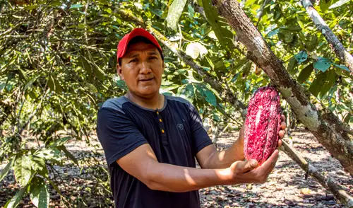 Perú superó ventas por agroexportaciones en más de US$15.000 millones al cierre del 2025.