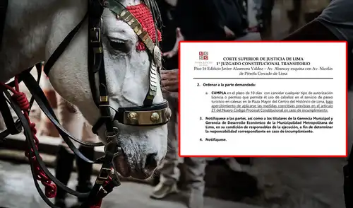 Resolución judicial ordena cancelar el uso de caballos para paseos en carruajes. Resolución judicial ordena cancelar el uso de caballos para paseos en carruajes.