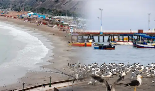 Playa Agua Dulce amanece limpia tras cierre temporal por la Municipalidad de Chorrillos