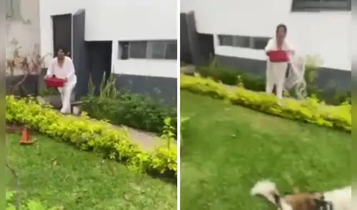 Adulta mayor atacó a joven que paseaba a sus perros en parque.