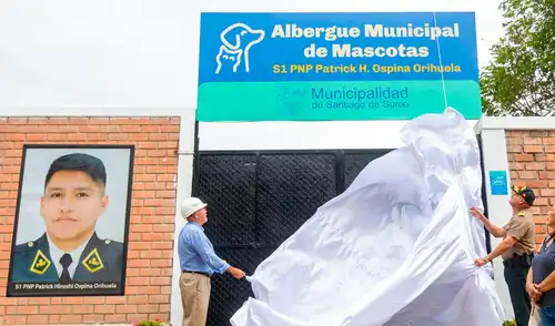 El Albergue Municipal S1 PNP Patrick H. Ospina Orihuela alberga actualmente a 125 perros y 32 gatos.