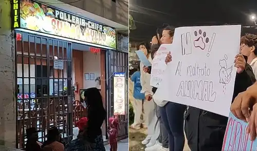 Perrita muere tras ser acuchillada en pollería de Ayacucho.
