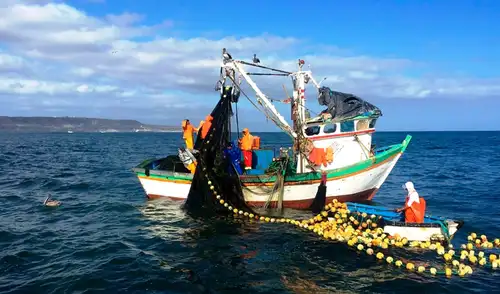 Distribución de cuota de pesca de jurel y bonito garantiza acceso equitativo para más de 1700 embarcaciones. Distribución de cuota de pesca de jurel y bonito garantiza acceso equitativo para más de 1700 embarcaciones.