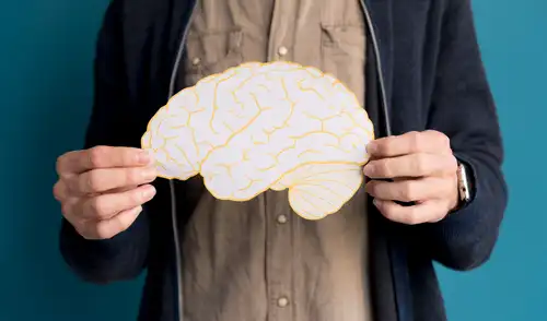 El hallazgo detalla cómo cambios en la microbiota del intestino activan células inmunitarias, afectando la conexión entre el intestino y el cerebro a través del nervio vago.