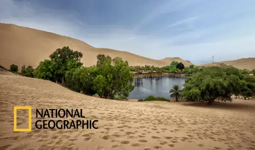 La Huacachina ha sido considerada por National Geographic como uno de los oasis más bellos del mundo. La Huacachina ha sido considerada por National Geographic como uno de los oasis más bellos del mundo.