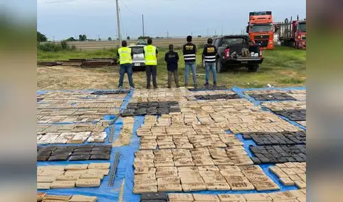 Cargamento de marihuana Creepy incautada en Aguas Verdes, Tumbes.