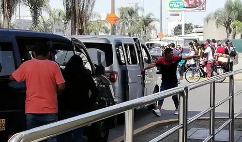 Taxis colectivos seguirán operando hasta 2031, según la Comisión de Transportes del Congreso.