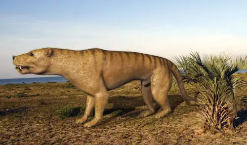 Investigadores descubren qué era realmente un extraño fósil hallado en 1952. Foto: ChatGPT Investigadores descubren qué era realmente un extraño fósil hallado en 1952. Foto: ChatGPT