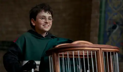 ‘En busca de Harry: el arte detrás de la magia’, un especial del detrás de cámaras de la serie original, se estrenará en HBO y HBO MAX