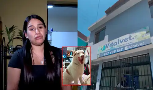 VitalVet, veterinaria, Villa el salvador