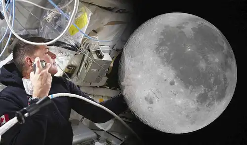 La misión Artemis II de la NASA ha ingresado en la esfera de influencia lunar, marcando el inicio de su esperado sobrevuelo que ofrece vistas inéditas de la Luna. Foto: composición LR/AFP Astronautas de Artemis II inician histórico sobrevuelo que les permitirá tener inéditas vistas de la Luna