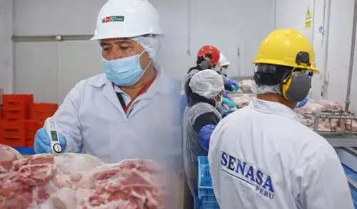 Perú logra acceso al exigente mercado de Singapur para exportación de carne de ave y cerdo Perú logra acceso al exigente mercado de Singapur para exportación de carne de ave y cerdo