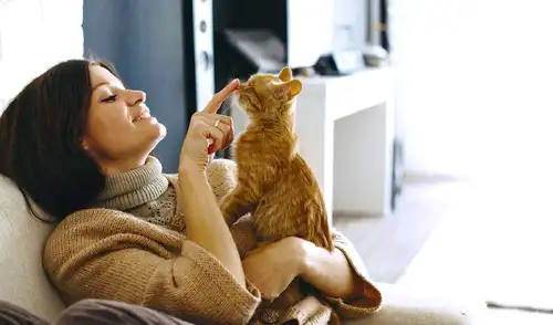 Un estudio confirma que hablarle a tu gato con voz infantil mejora su atención y fortalece el vínculo emocional