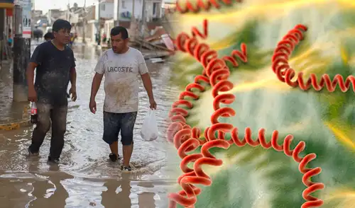 Preocupación en Piura por aumento de casos de dengue en Morropón