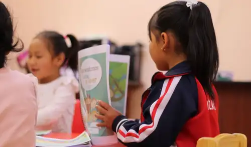 La crisis de comprensión lectora en Perú es alarmante: solo 3 de cada 10 estudiantes entienden adecuadamente lo que leen, según el Consejo Nacional de Educación.